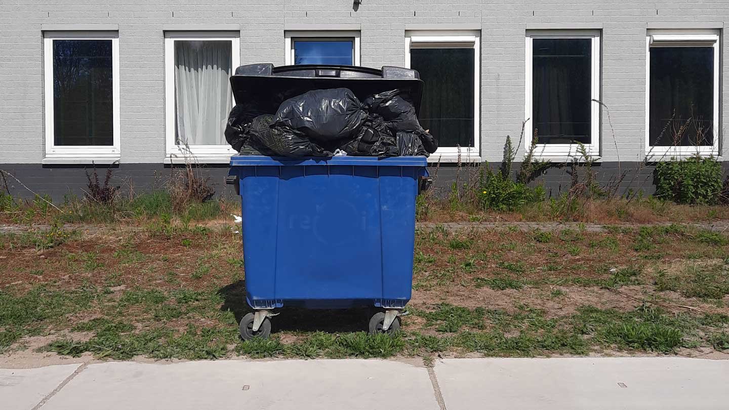 Dumpster Dimensions: Choosing the Perfect Bin for Your Cleanup Project
